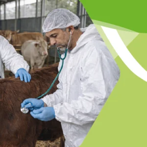 Corso di Formazione sul Benessere Animale per Operatori Degli Ungulati